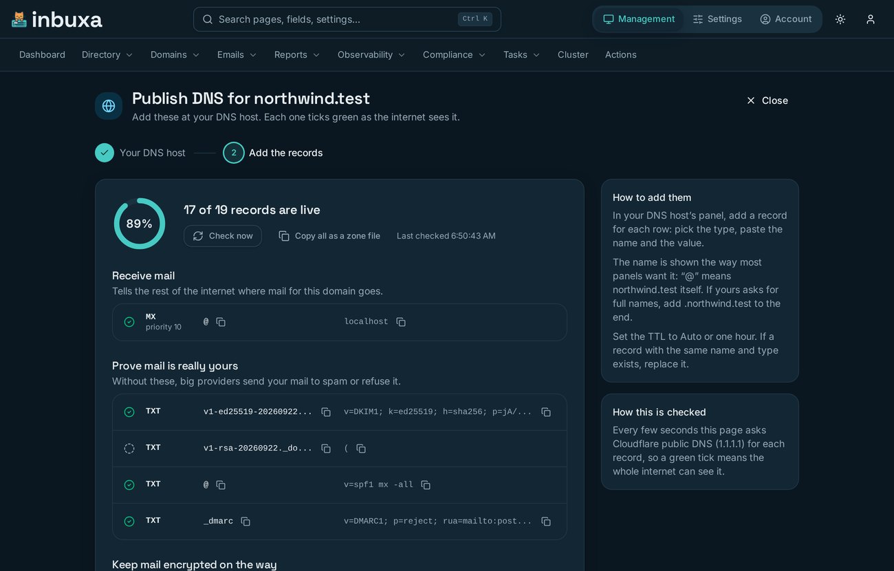 A guided job titled &ldquo;Publish DNS&rdquo; showing 17 of 19 records live, the records grouped under plain headings: receive mail, prove mail is really yours, keep mail encrypted on the way, and let mail apps set themselves up.
